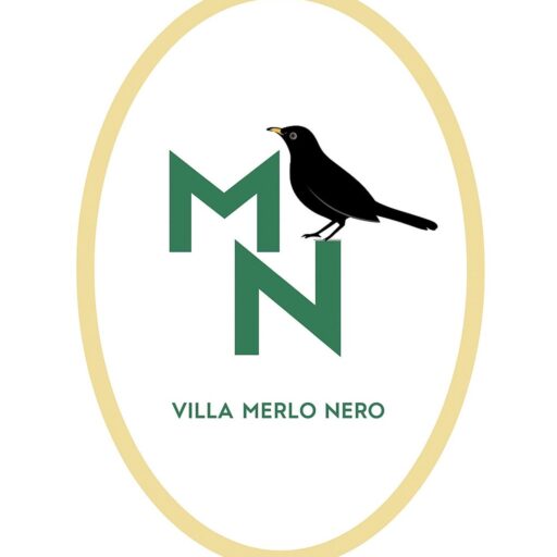 Blog di villamerlonero